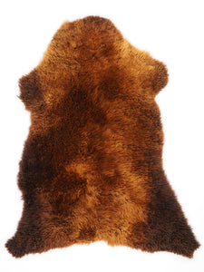 B+ klases aitādas "Rusty" L