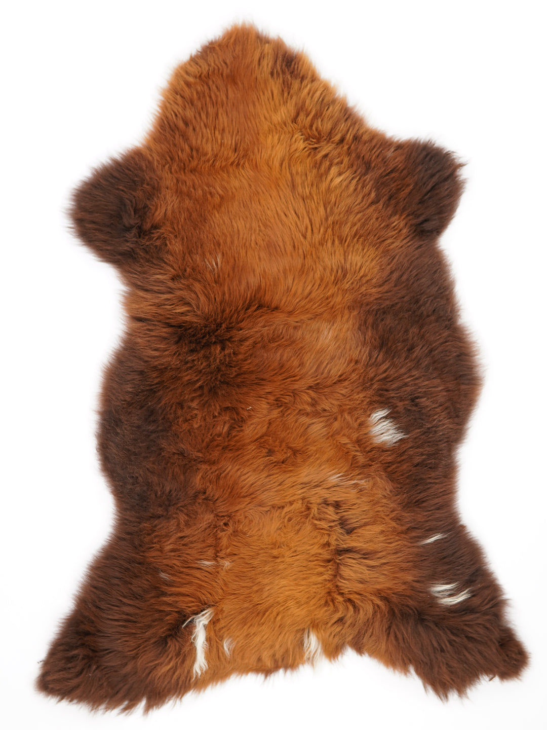 Brūna aitāda "Rusty" XL 