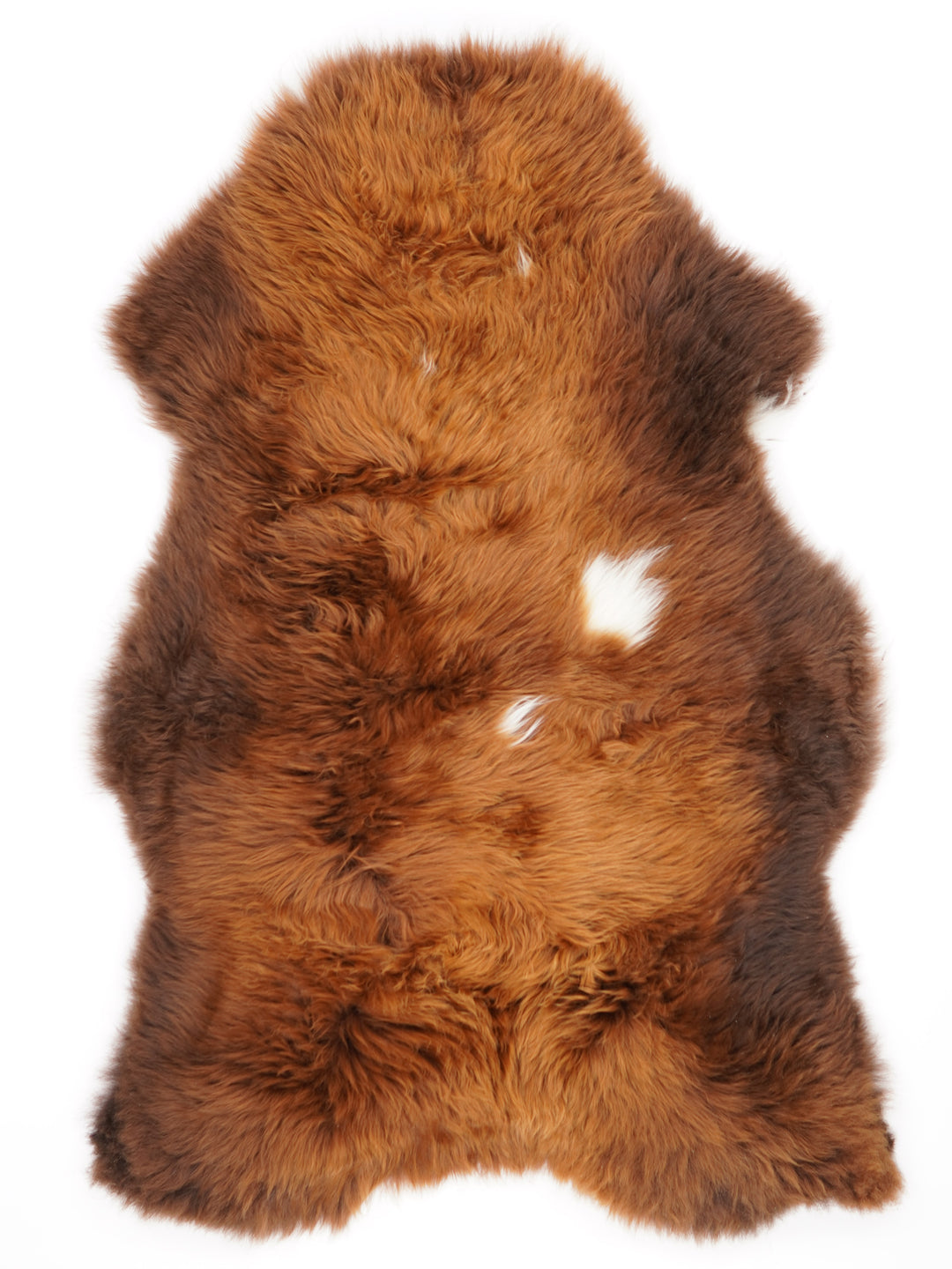 Brūna aitāda "Rusty" XL 