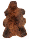 Brūna aitāda "Rusty" XL