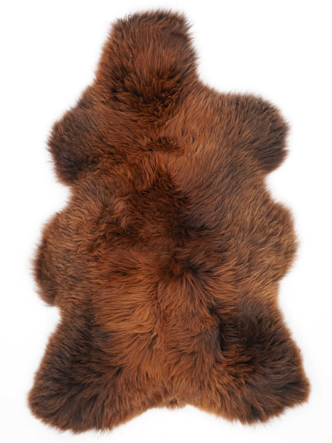 Brūna aitāda "Rusty" XL