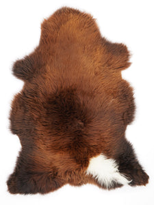 Brūna aitāda "Rusty" XL 