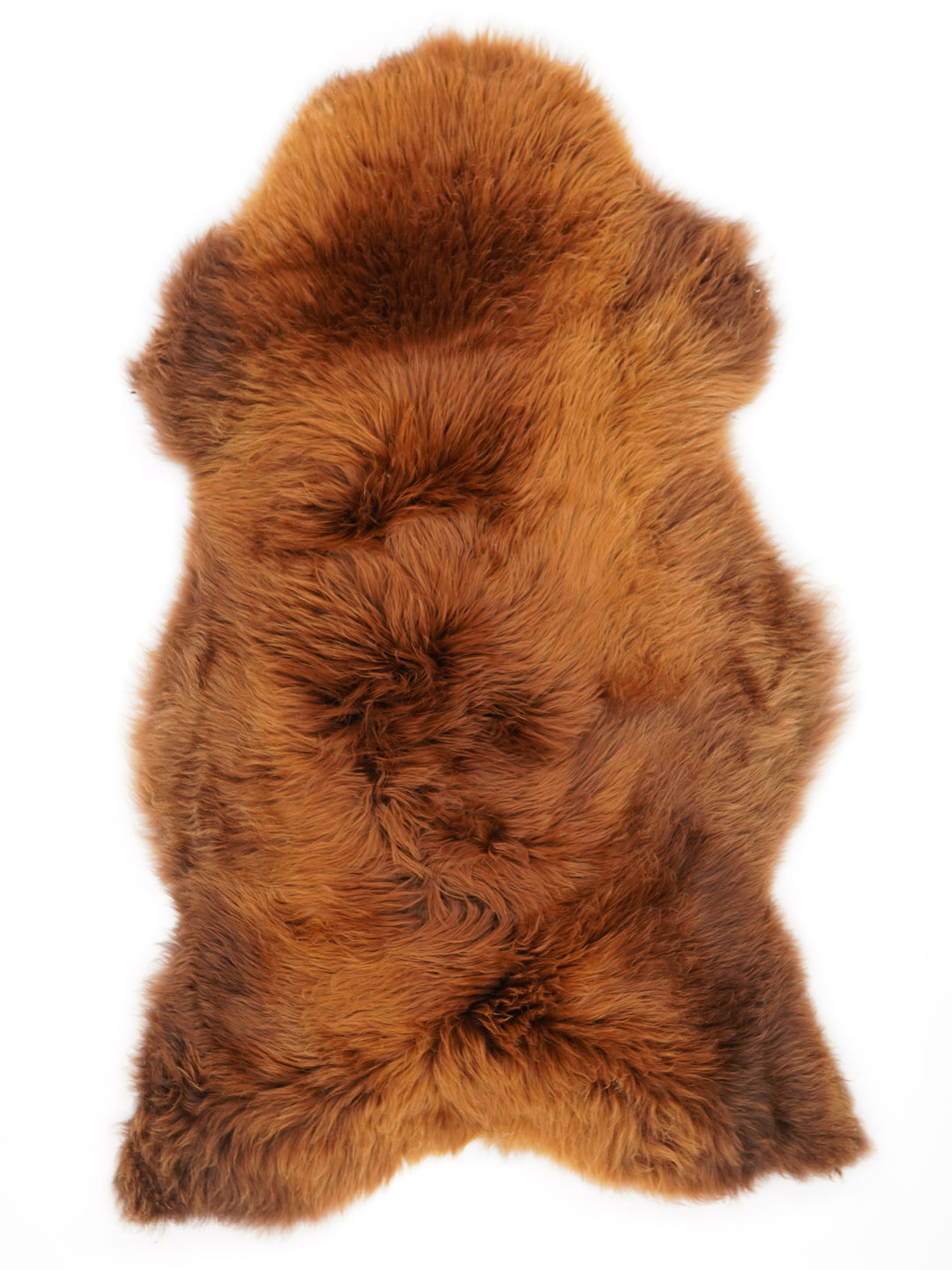 Brūna aitāda "Rusty" XL 