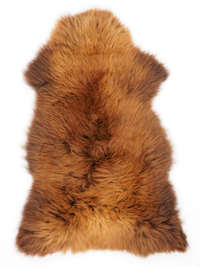 Brūna aitāda "Rusty" XL 