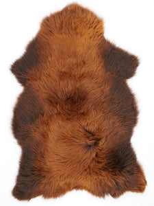 Brūna aitāda "Rusty" XXL