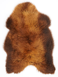Brūna aitāda "Rusty" XL