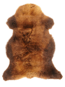 Brūna aitāda "Rusty" XL