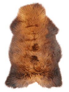 Brūna aitāda "Rusty" XXL 