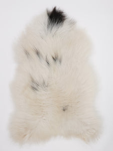 Islandes aitāda XL 