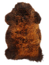 "Rusty" Daudzkrāsaina aitāda M