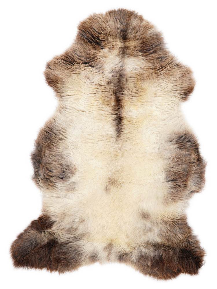 Įvairiaspalvis avikailis L