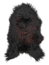 Islandes aitāda L