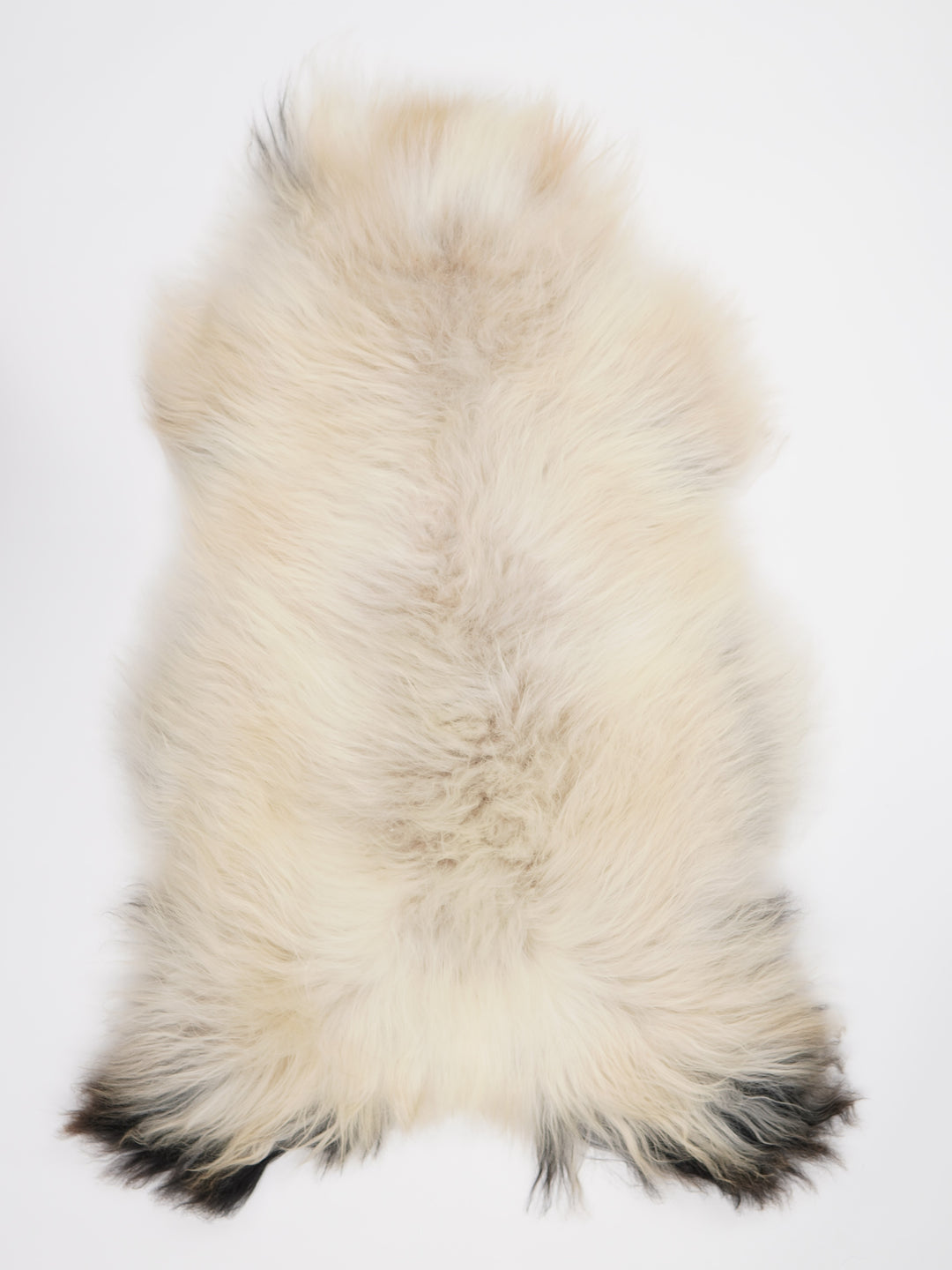 Islandes aitāda XXL 