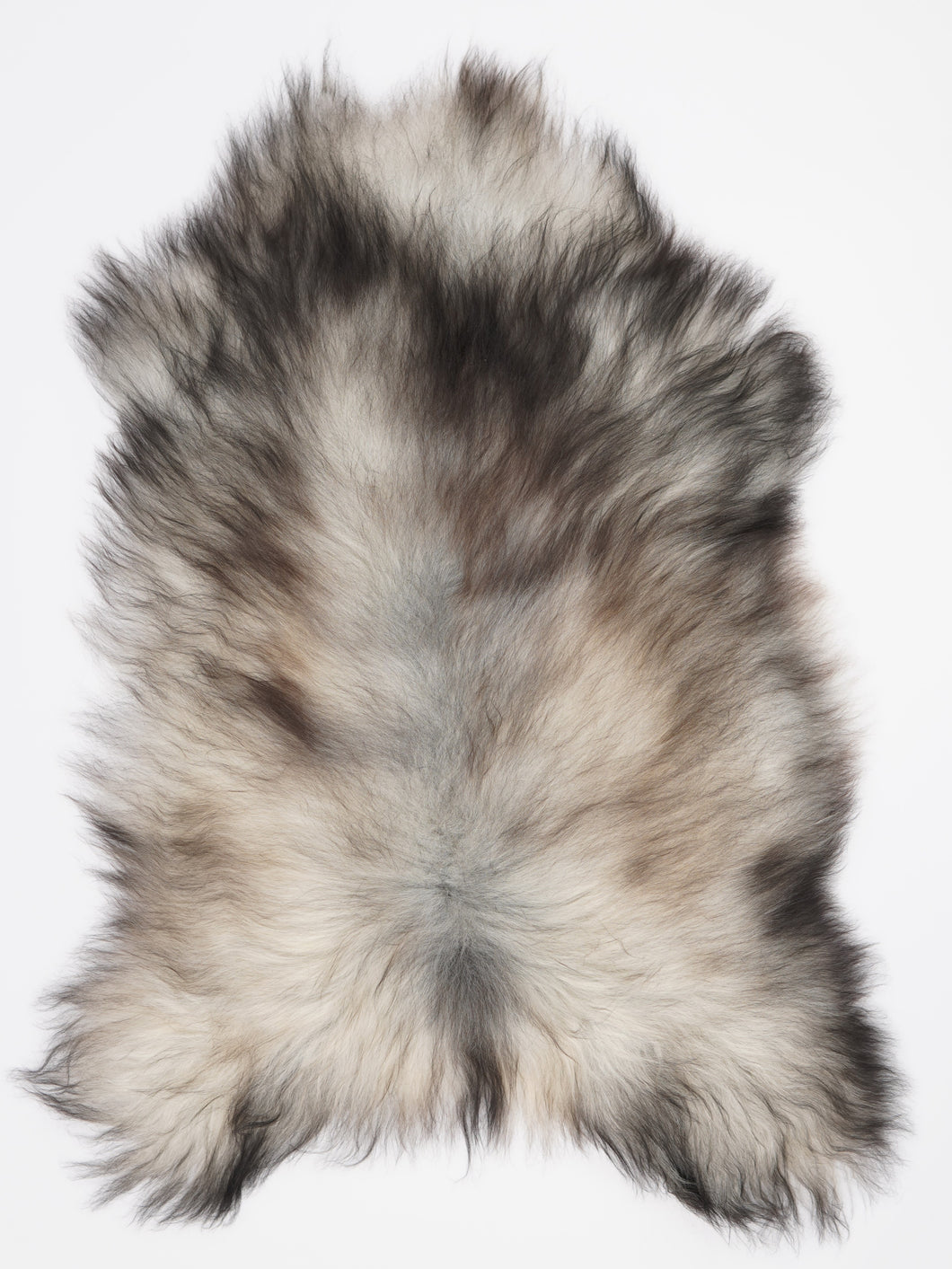 Pelēka Islandes aitāda XXL 