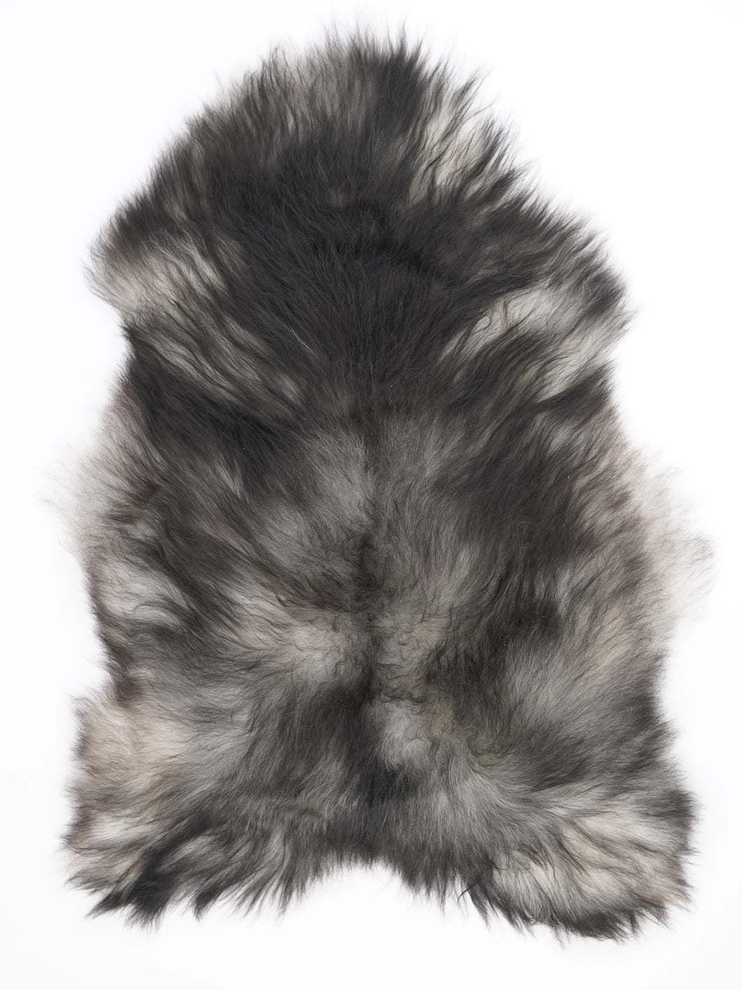 Pelēka islandiešu aitāda L 