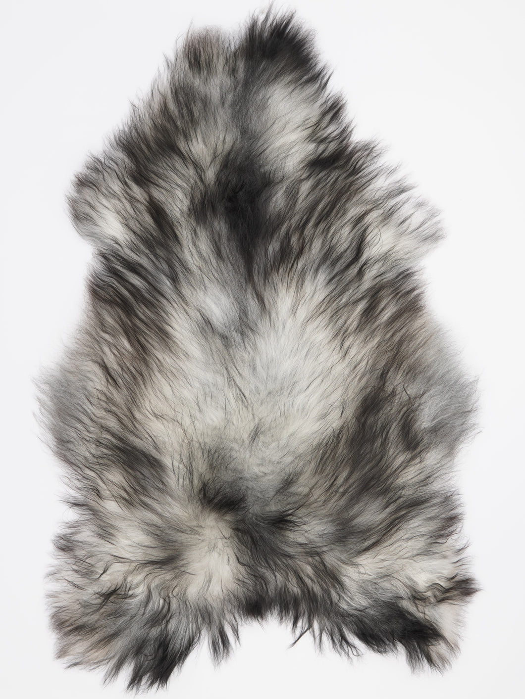 Pilkas islandiškas avikailis XL