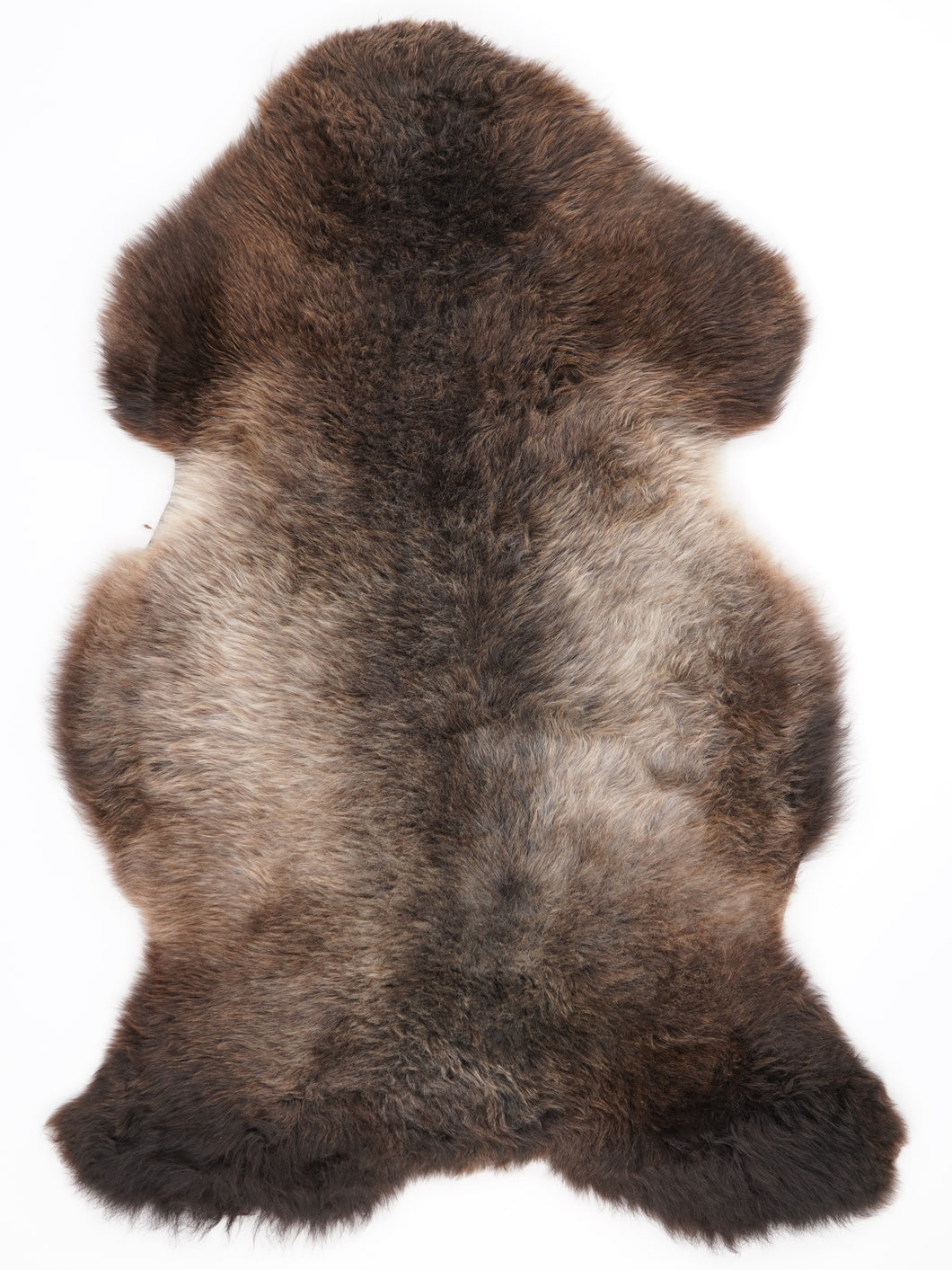 Įvairiaspalvis avikailis XL