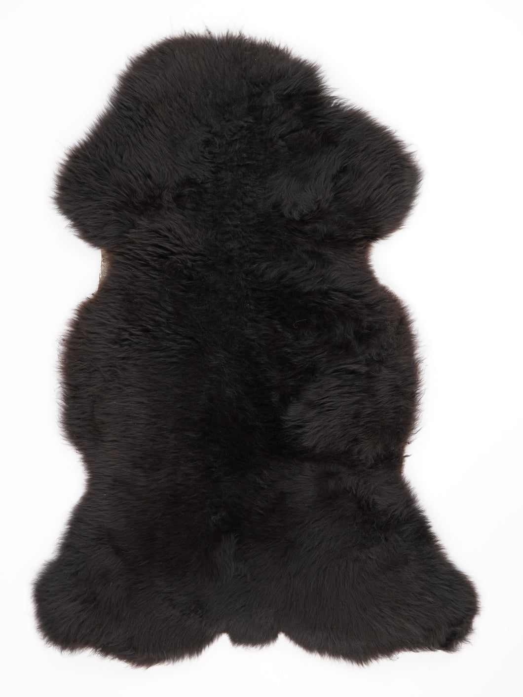 Įvairiaspalvis avikailis XL