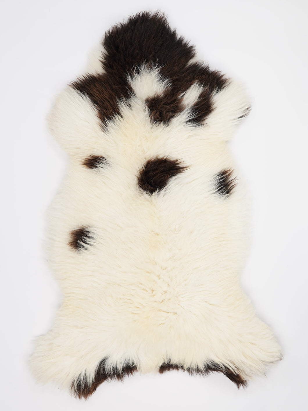 Įvairiaspalvis avikailis XXL