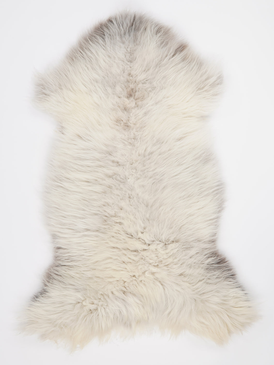 Įvairiaspalvis avikailis XL