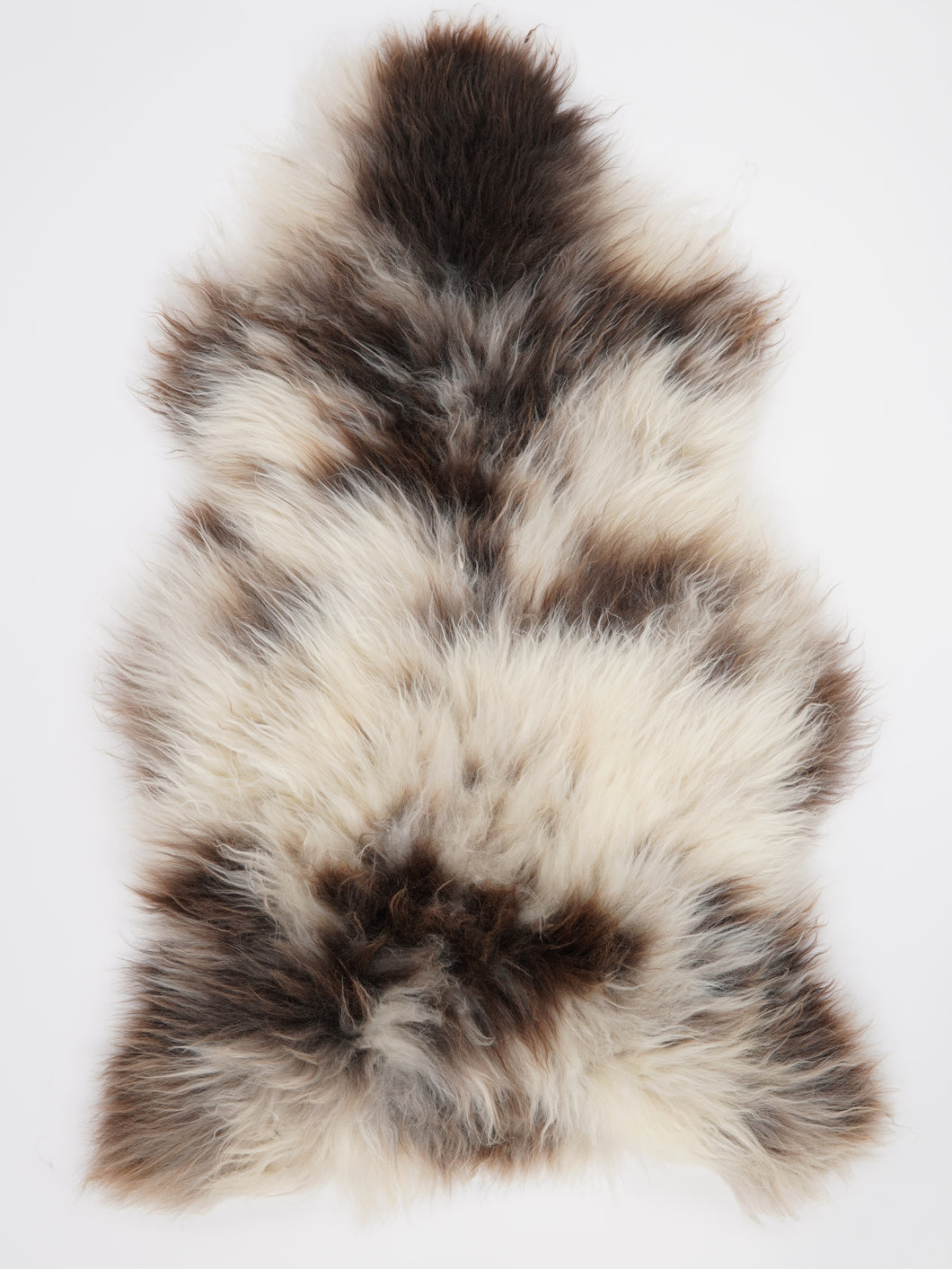 Įvairiaspalvis avikailis XXL