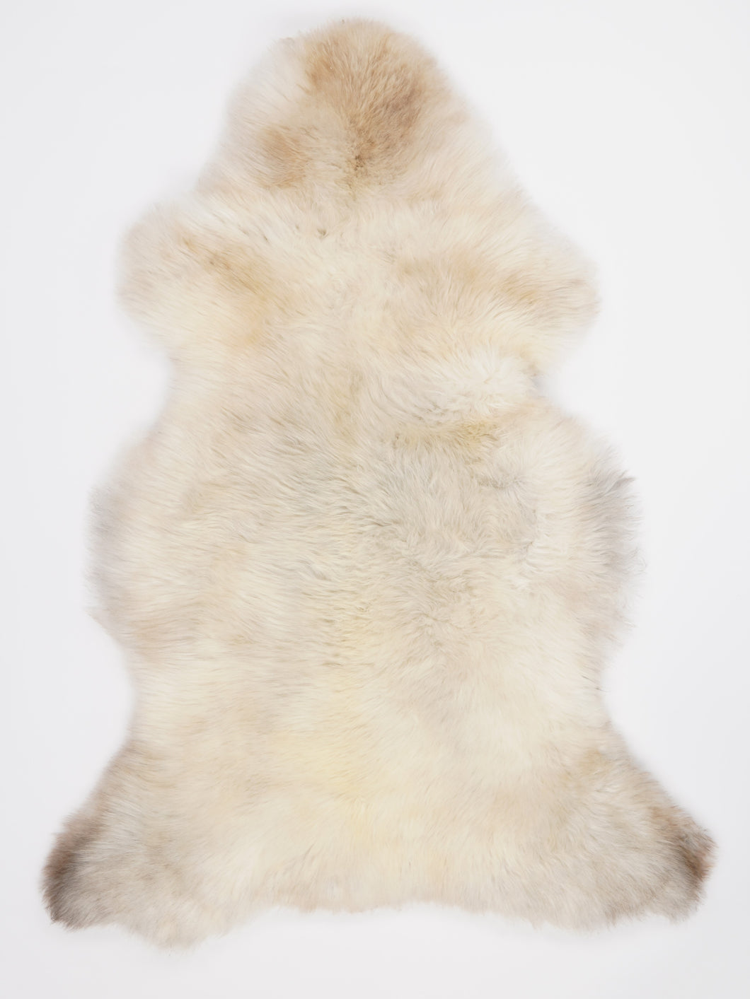 Įvairiaspalvis avikailis XL