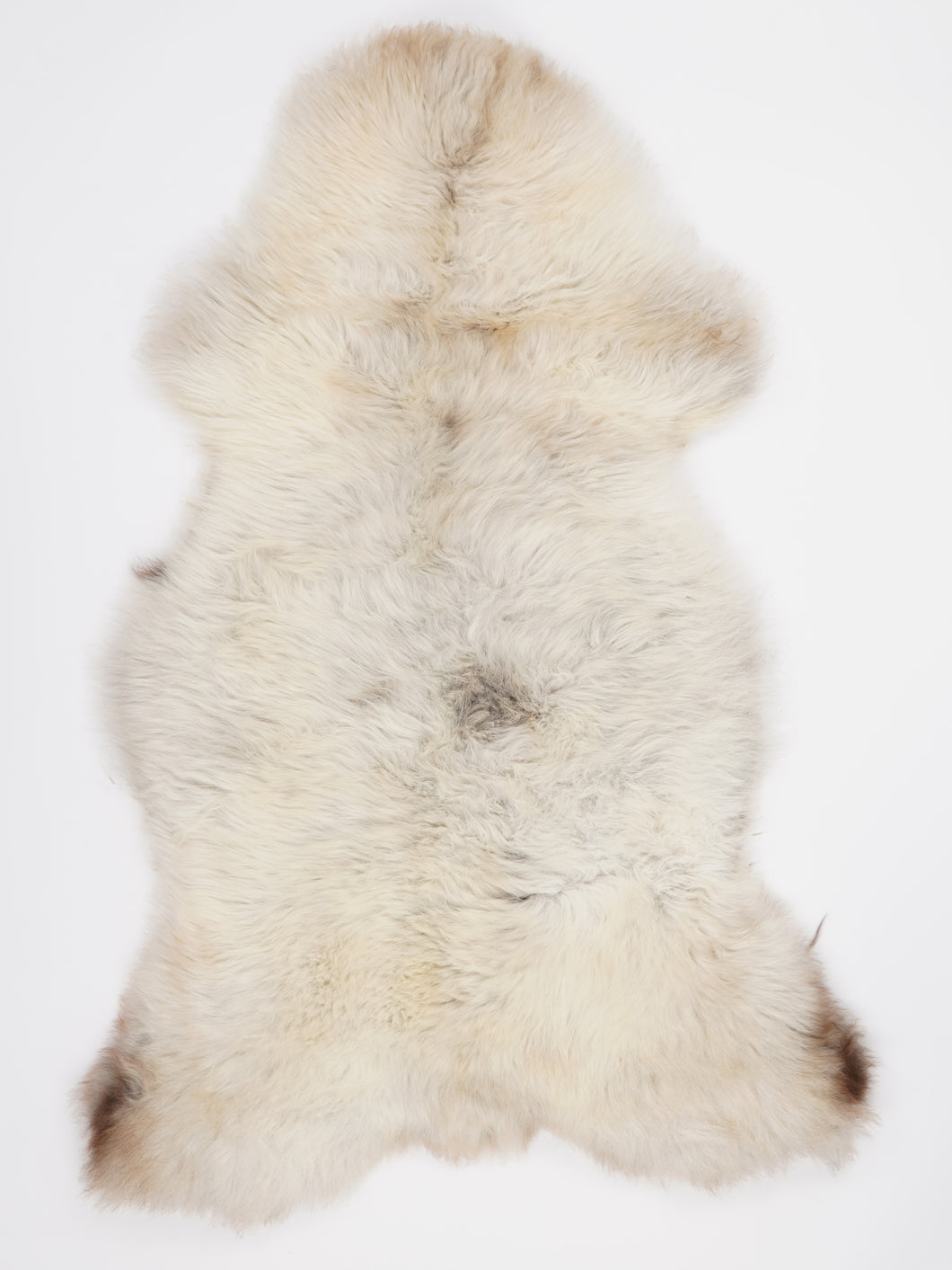 Įvairiaspalvis avikailis XL