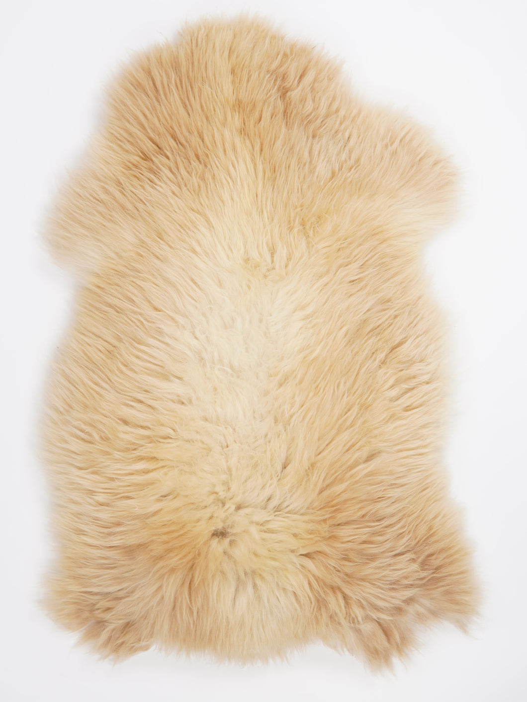 Įvairiaspalvis avikailis XL