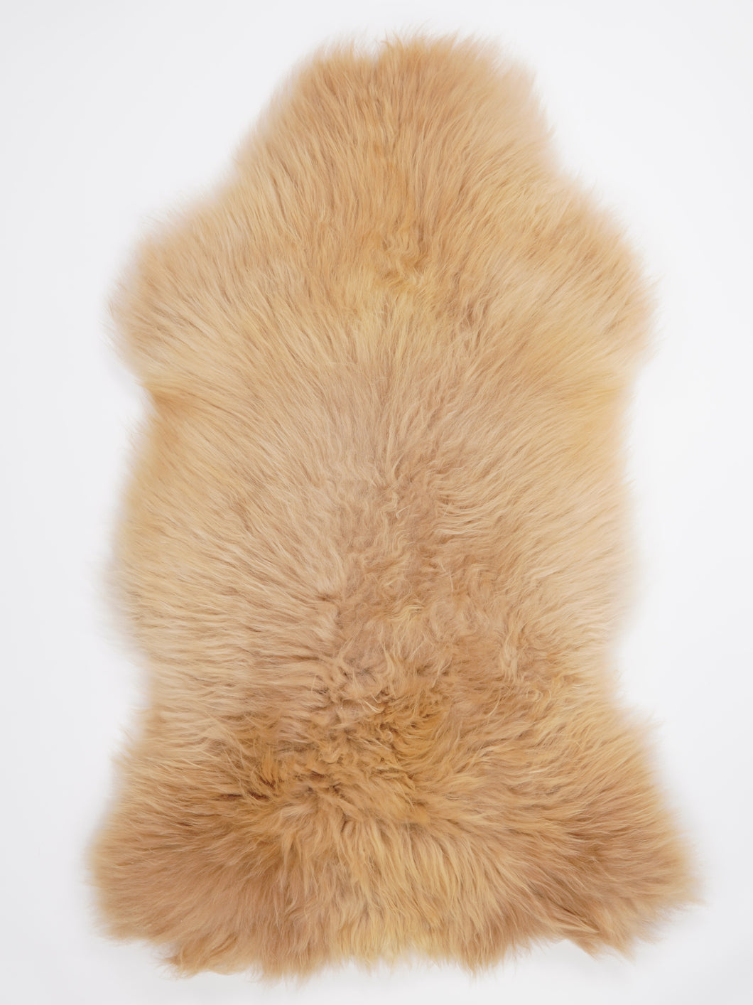 Įvairiaspalvis avikailis XXL (itin storo kailio)