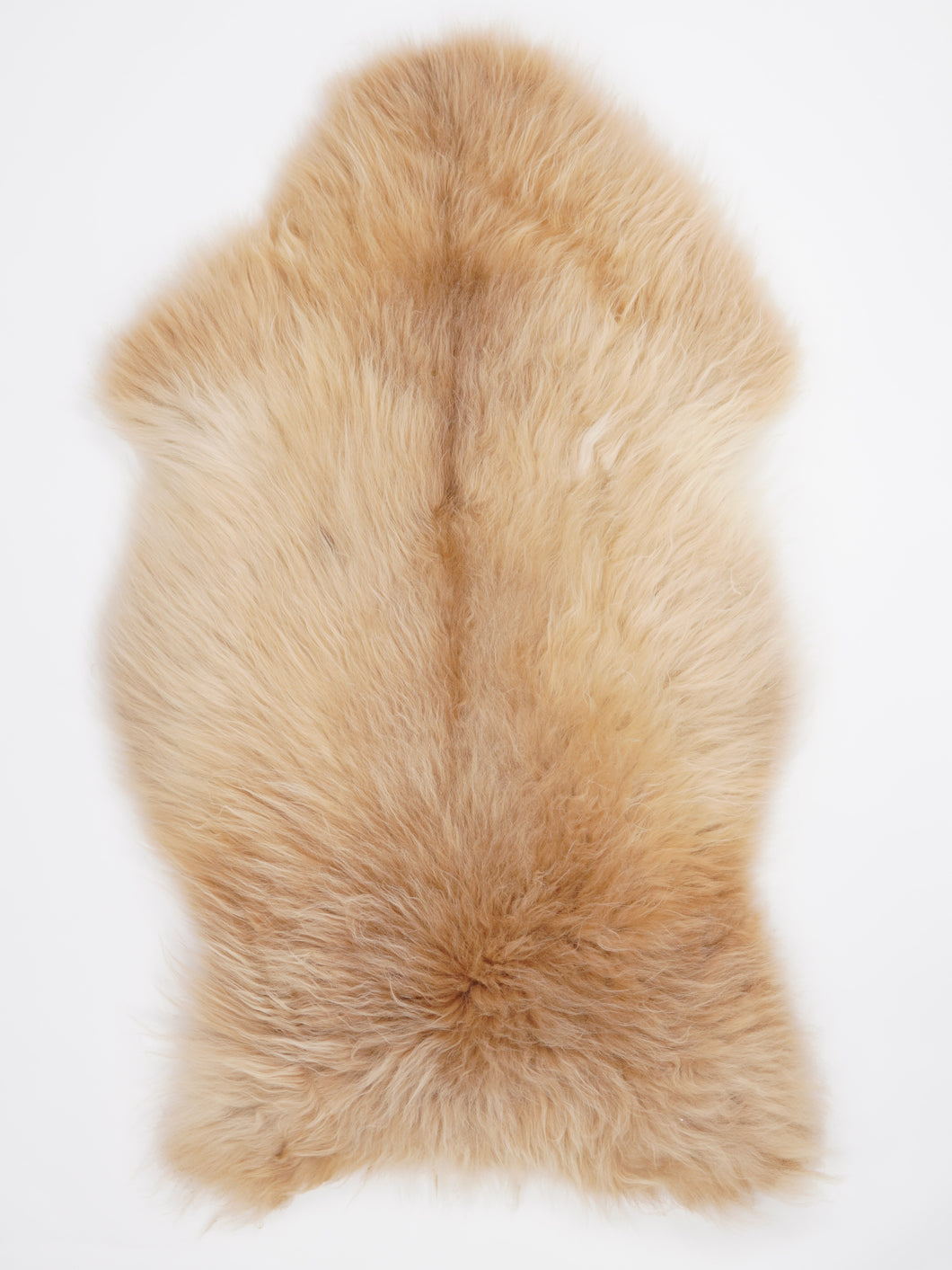 Daudzkrāsaina aitāda XXL (īpaši bieza kažokāda)