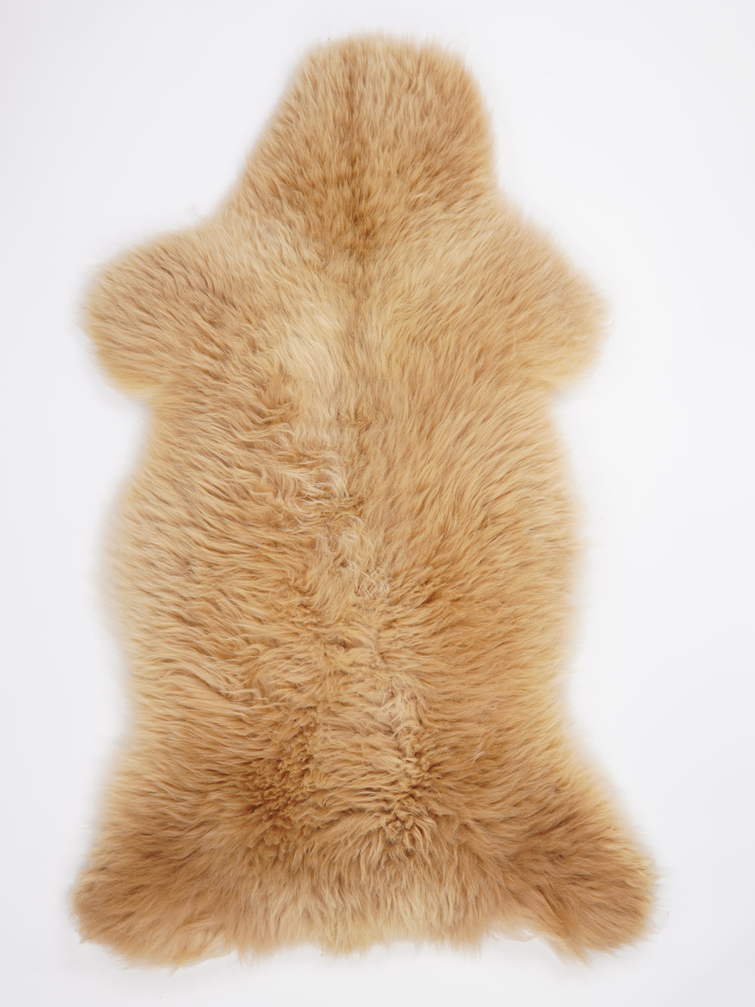 Brūna aitāda XXXL (īpaši bieza kažokāda)