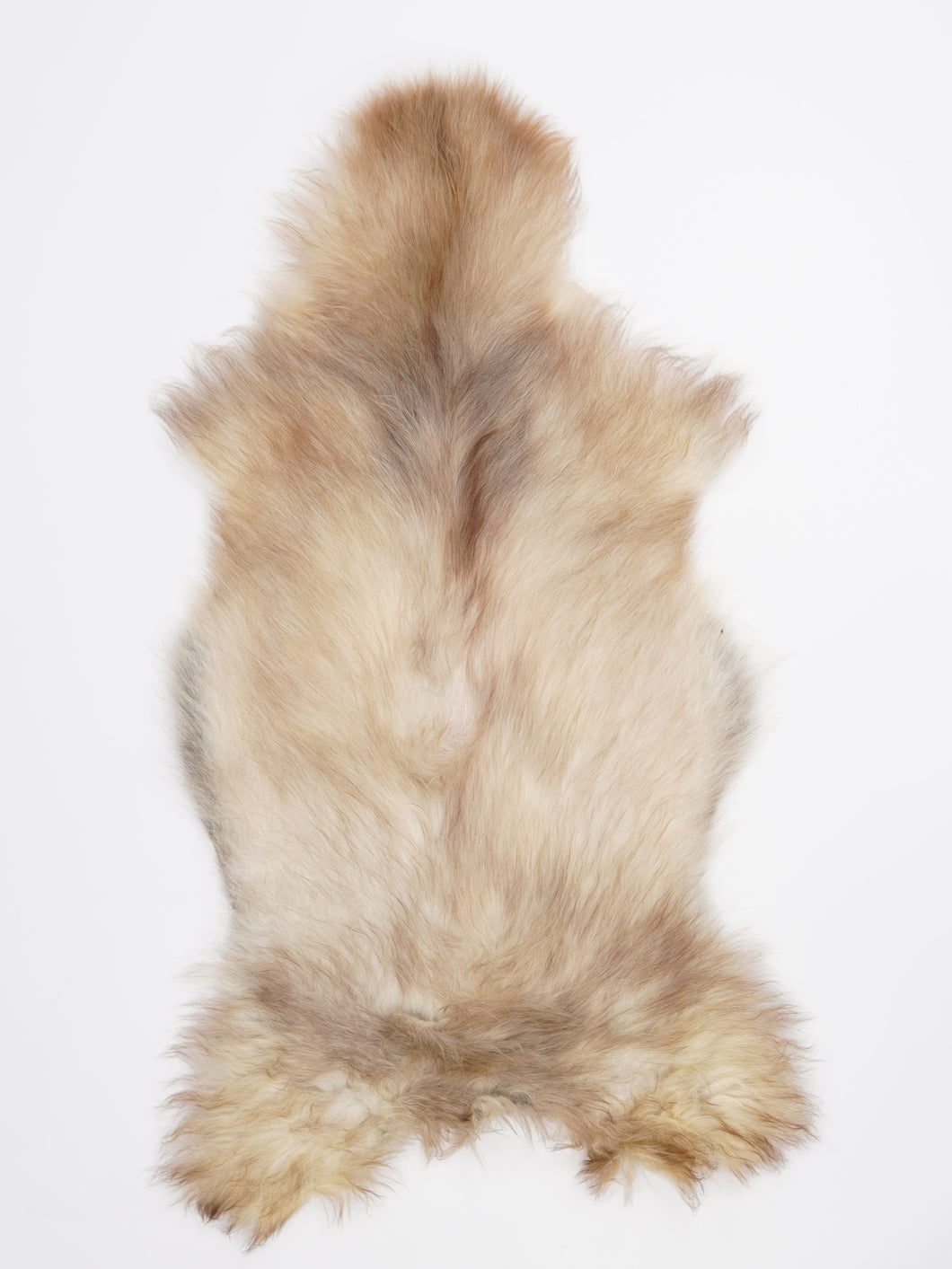 Įvairiaspalvis avikailis XL