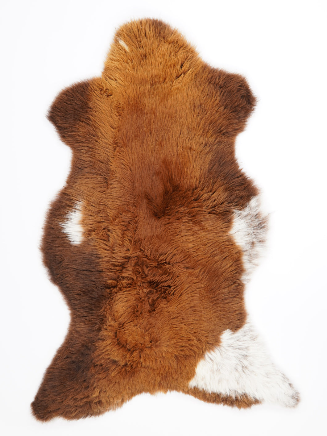 Įvairiaspalvis avikailis XL