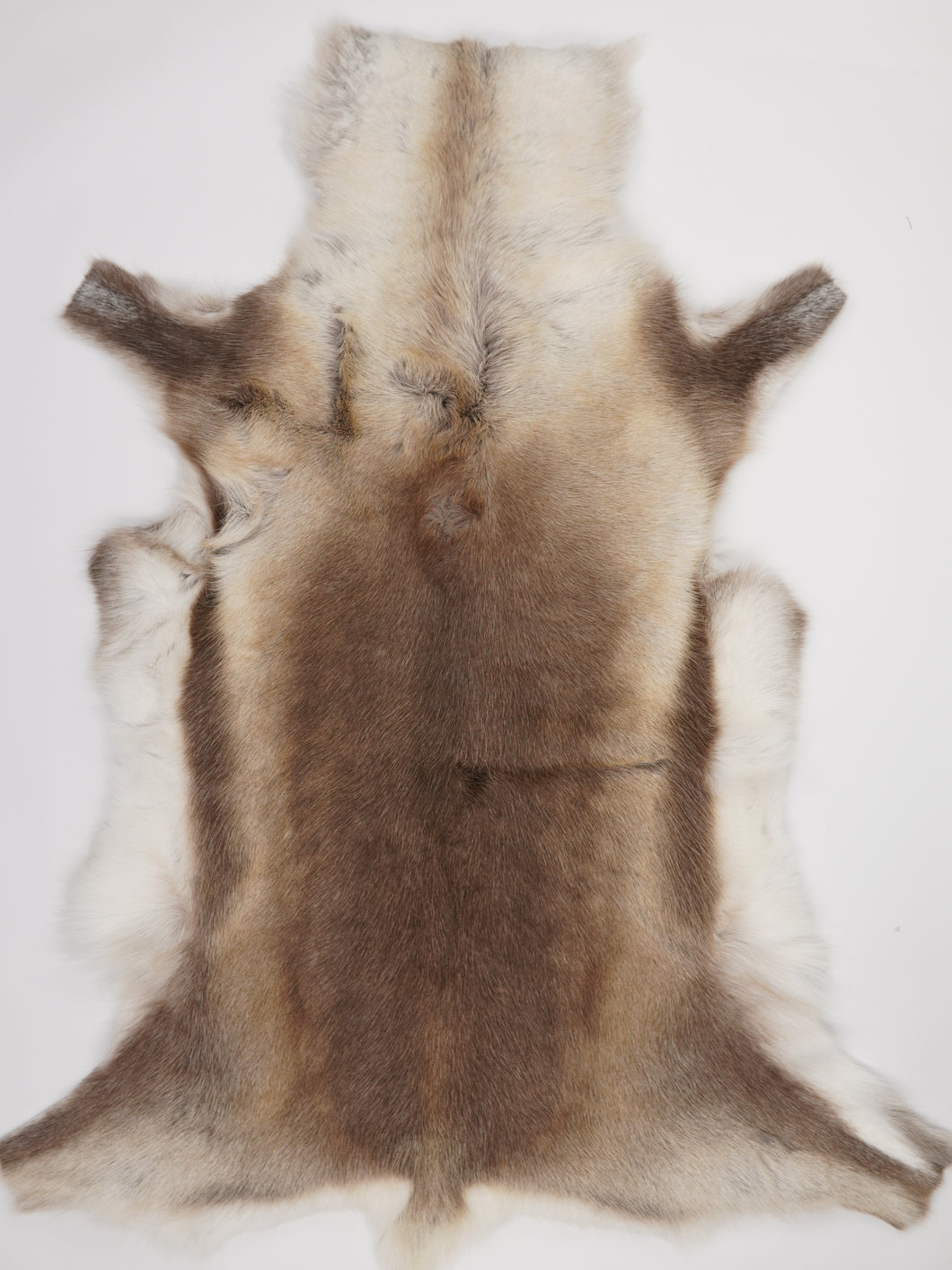 Ziemeļbriežu kažokādas XXXXXL 