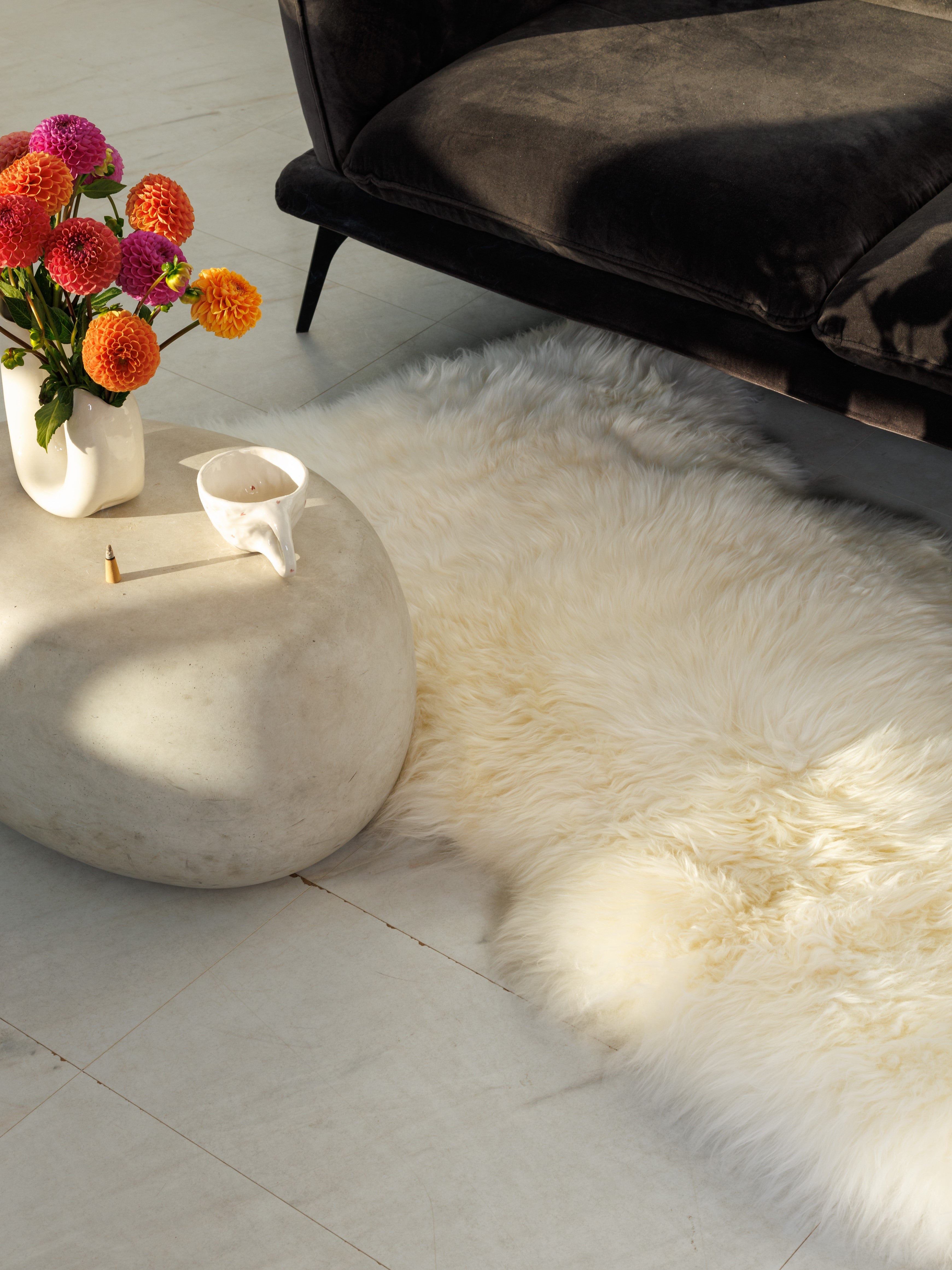 Didelis baltas avikailis iš arti