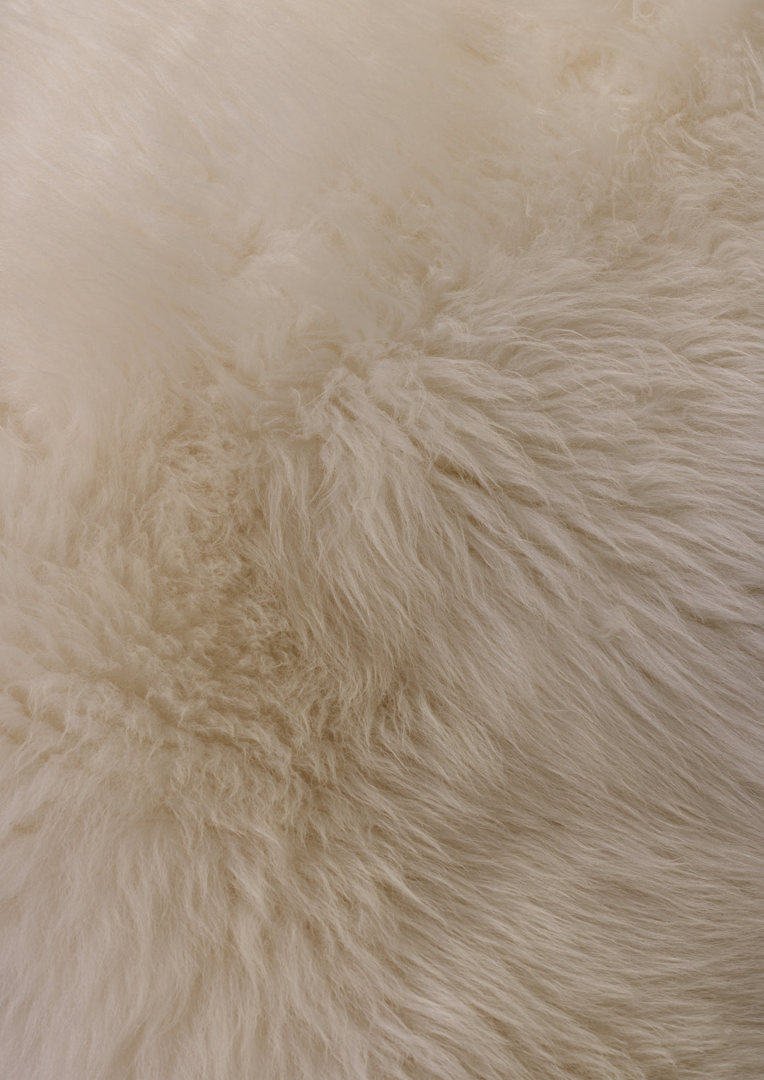 Šūta dubultā balta aitāda 