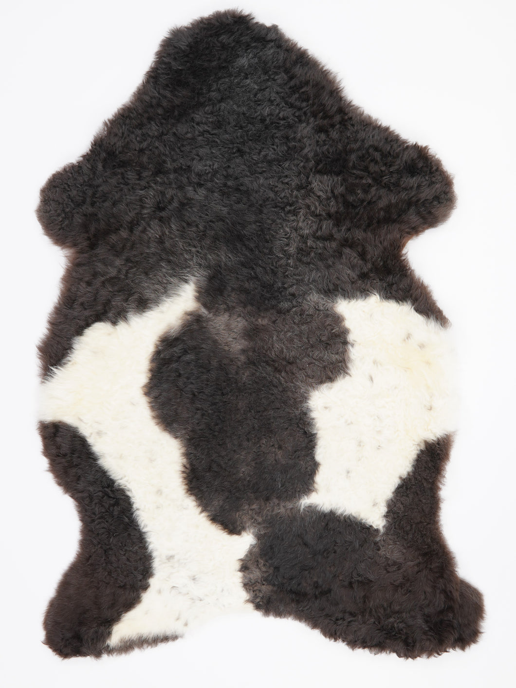 Įvairiaspalvis avikailis XL