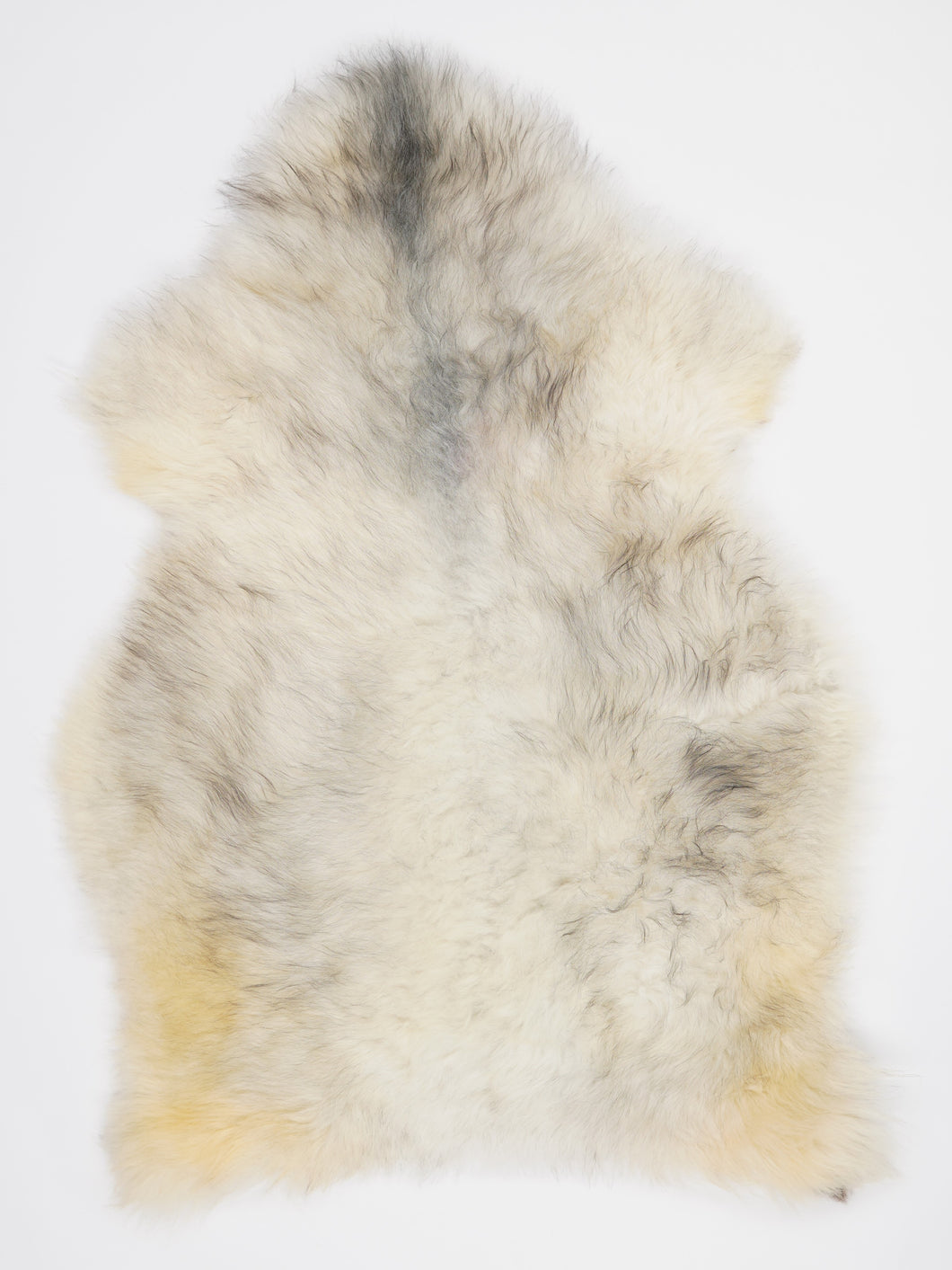 Įvairiaspalvis avikailis XL