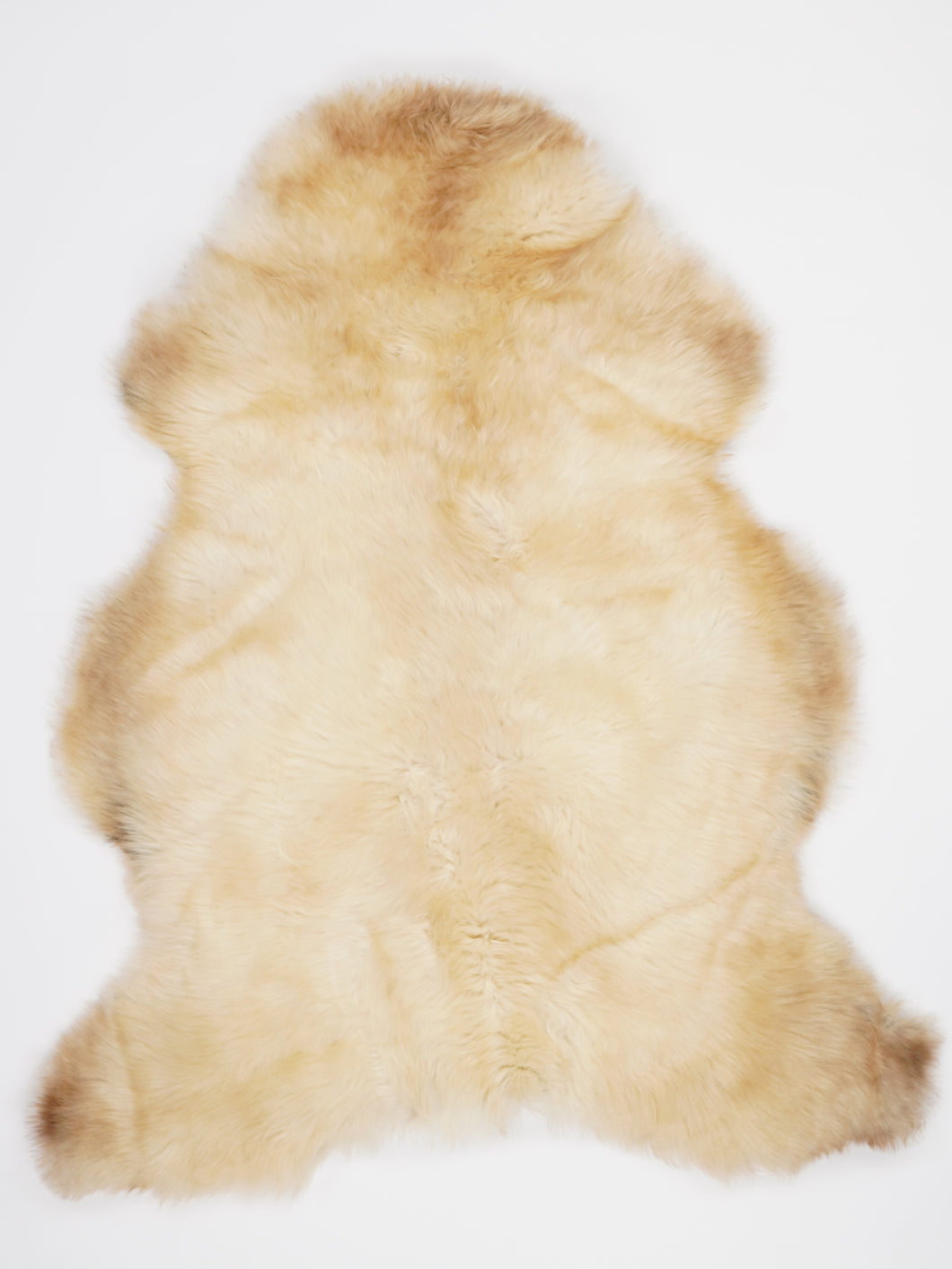 Įvairiaspalvis avikailis XL