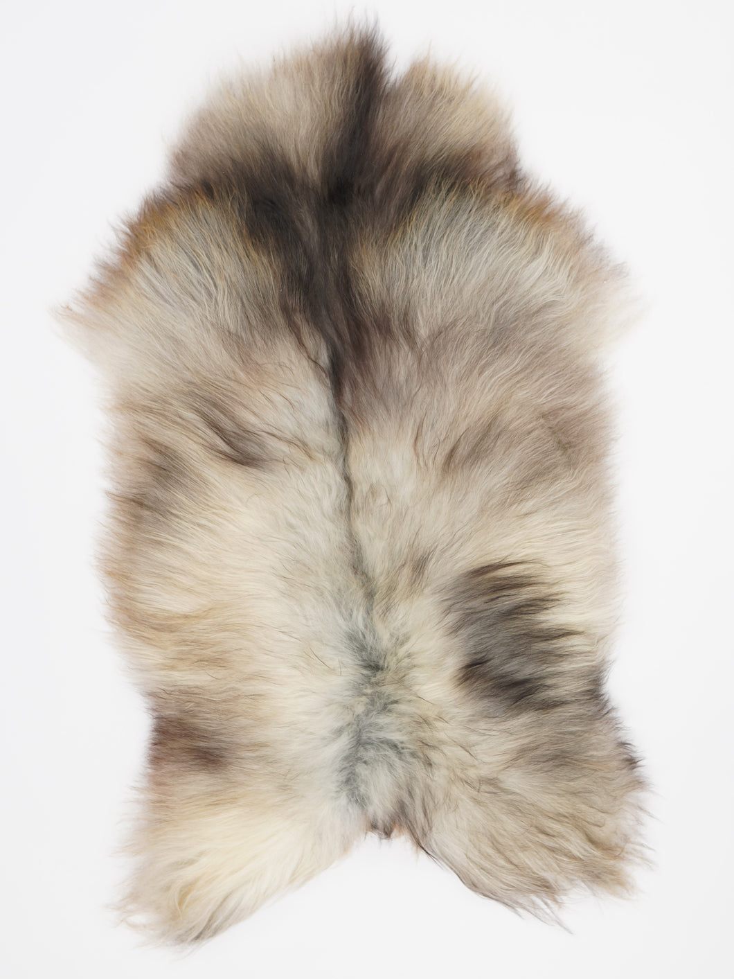 Pelēkā islandiešu aitāda L