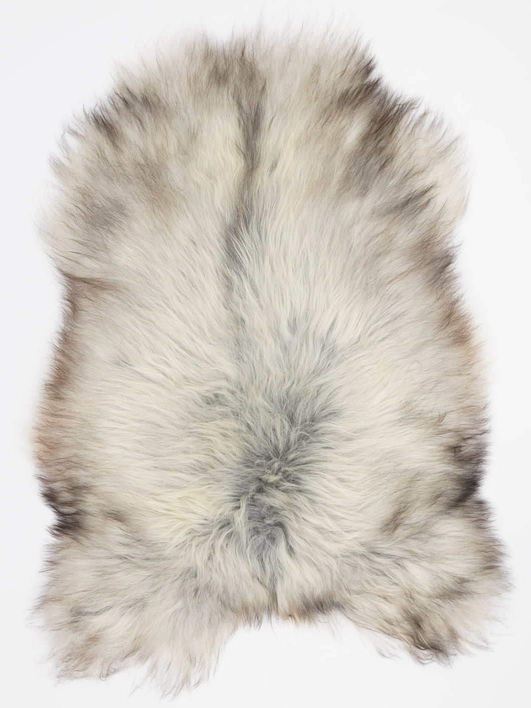 Pilkas islandiškas avikailis XL