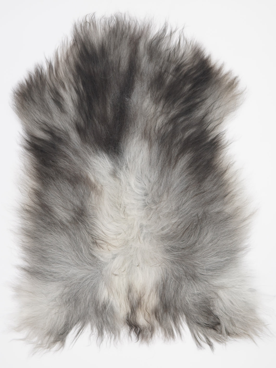 Pilkas islandiškas avikailis XL