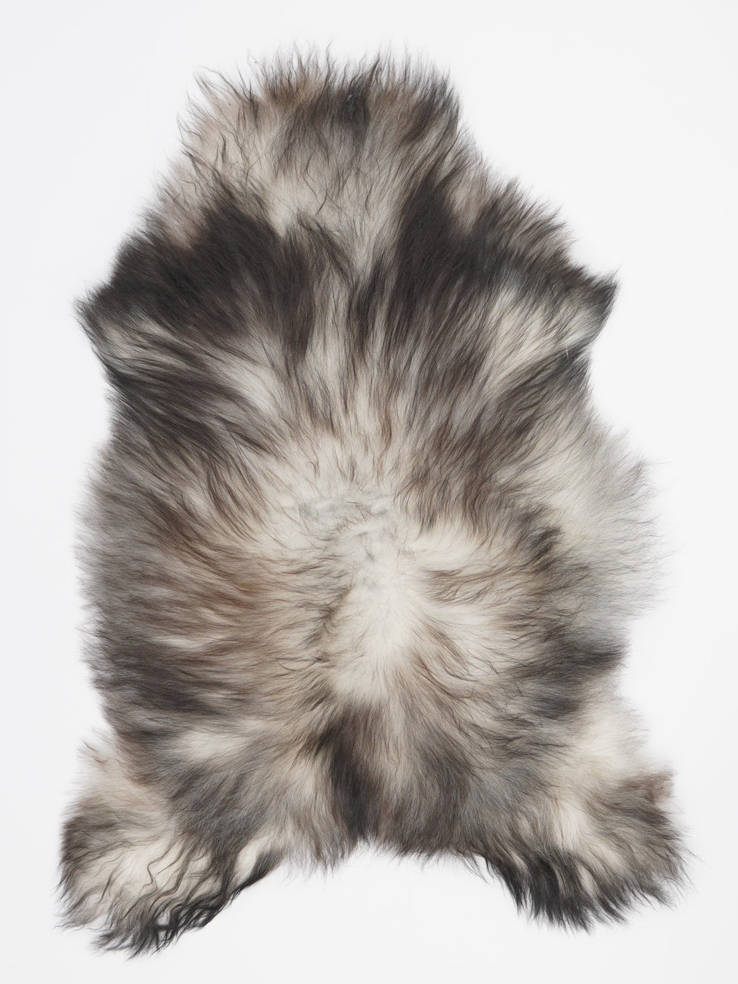 Pilkas islandiškas avikailis L