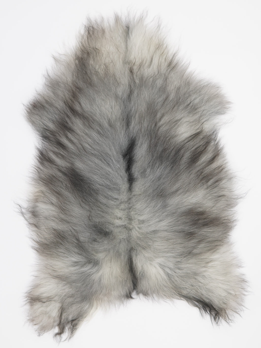 Pelēkā islandiešu aitāda L