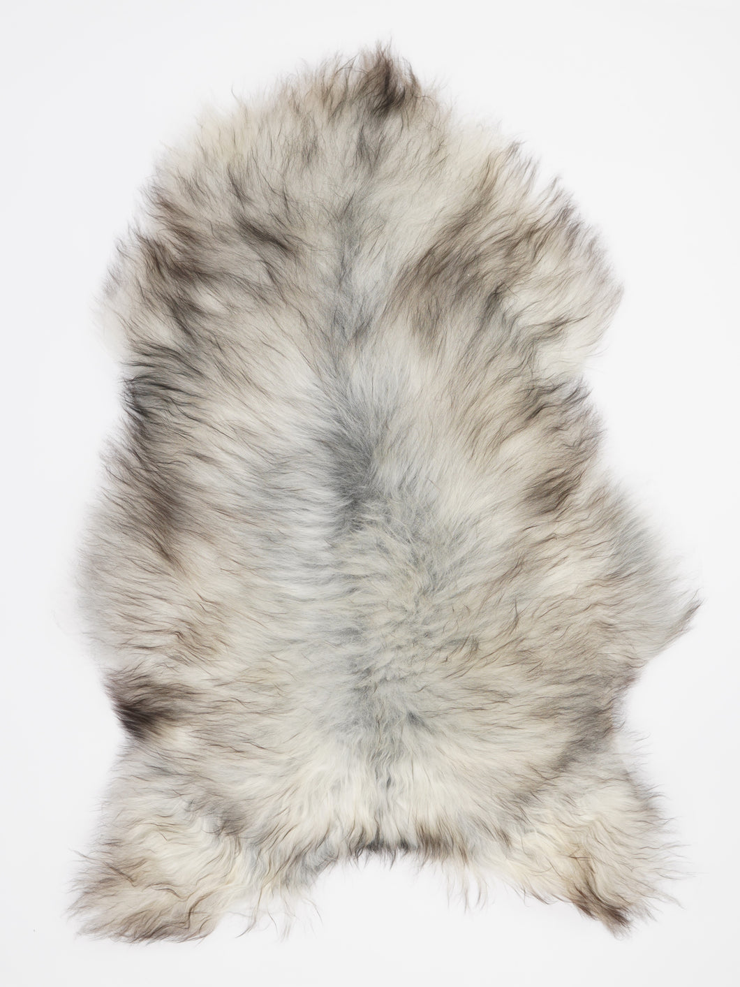 Pelēka Islandes aitāda XL 