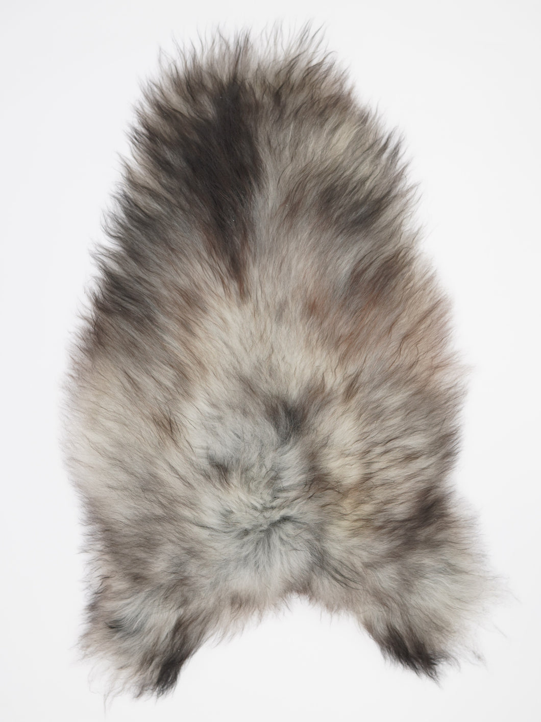 Pelēka Islandes aitāda XXL