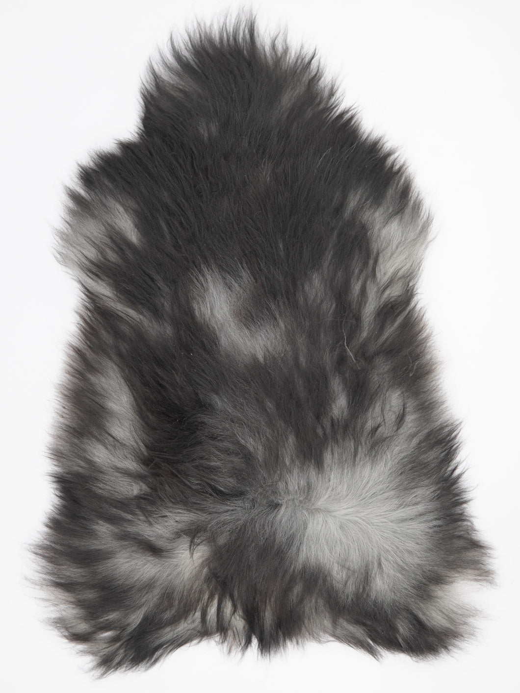 Pelēka Islandes aitāda XL 