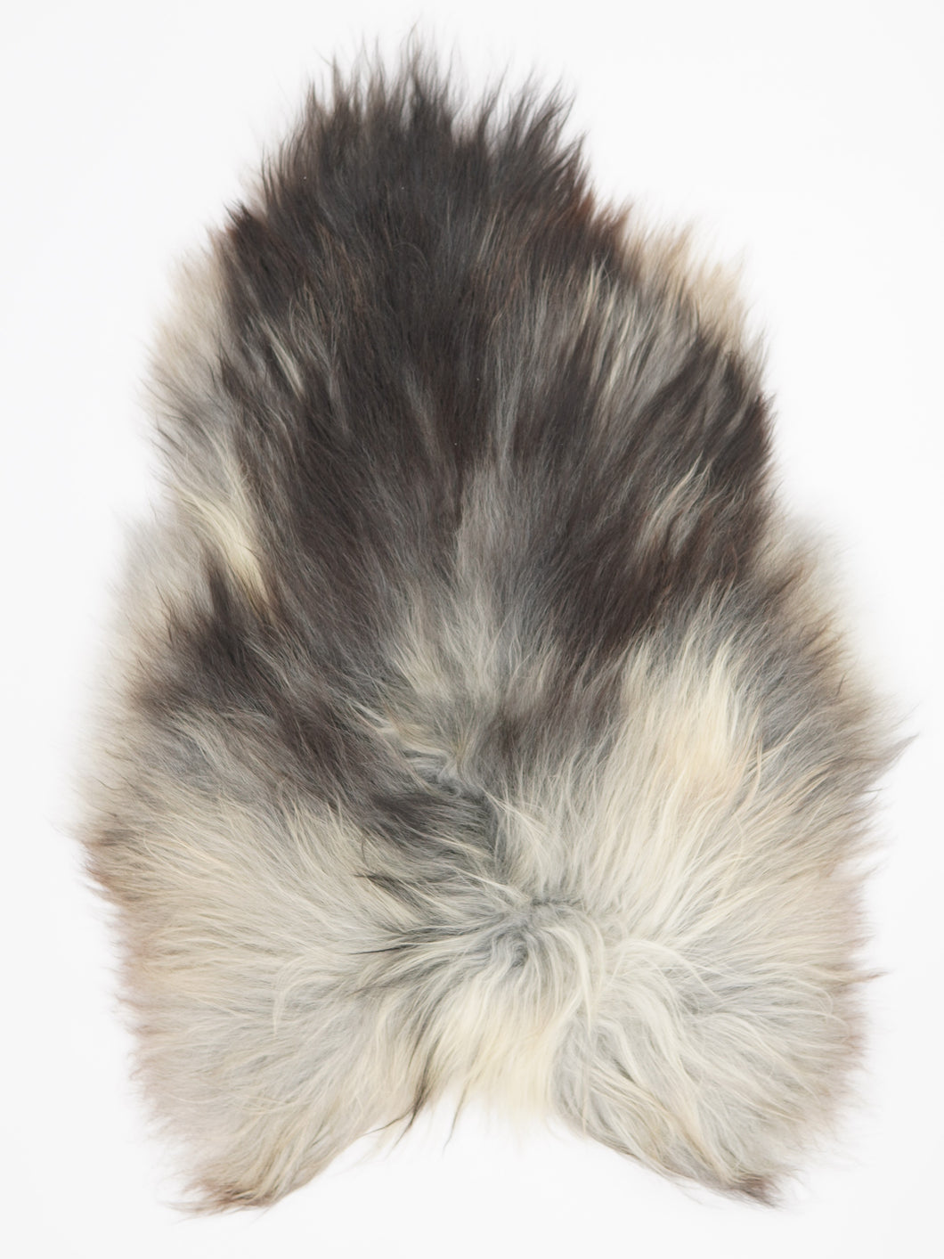 Pelēkā islandiešu aitāda L