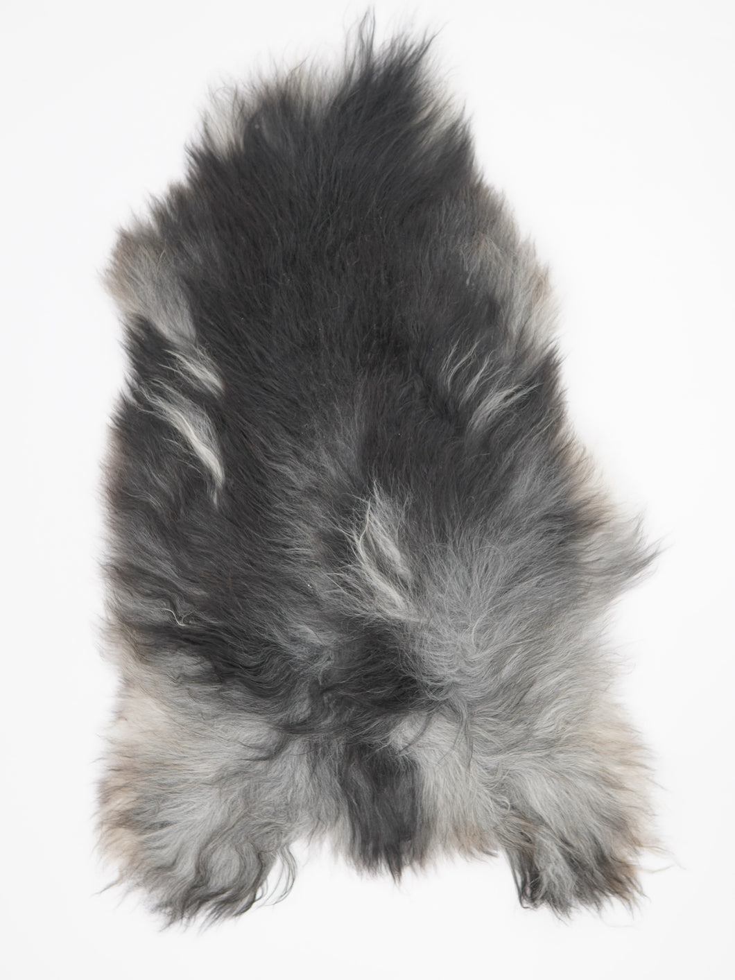 Pelēka Islandes aitāda XL 