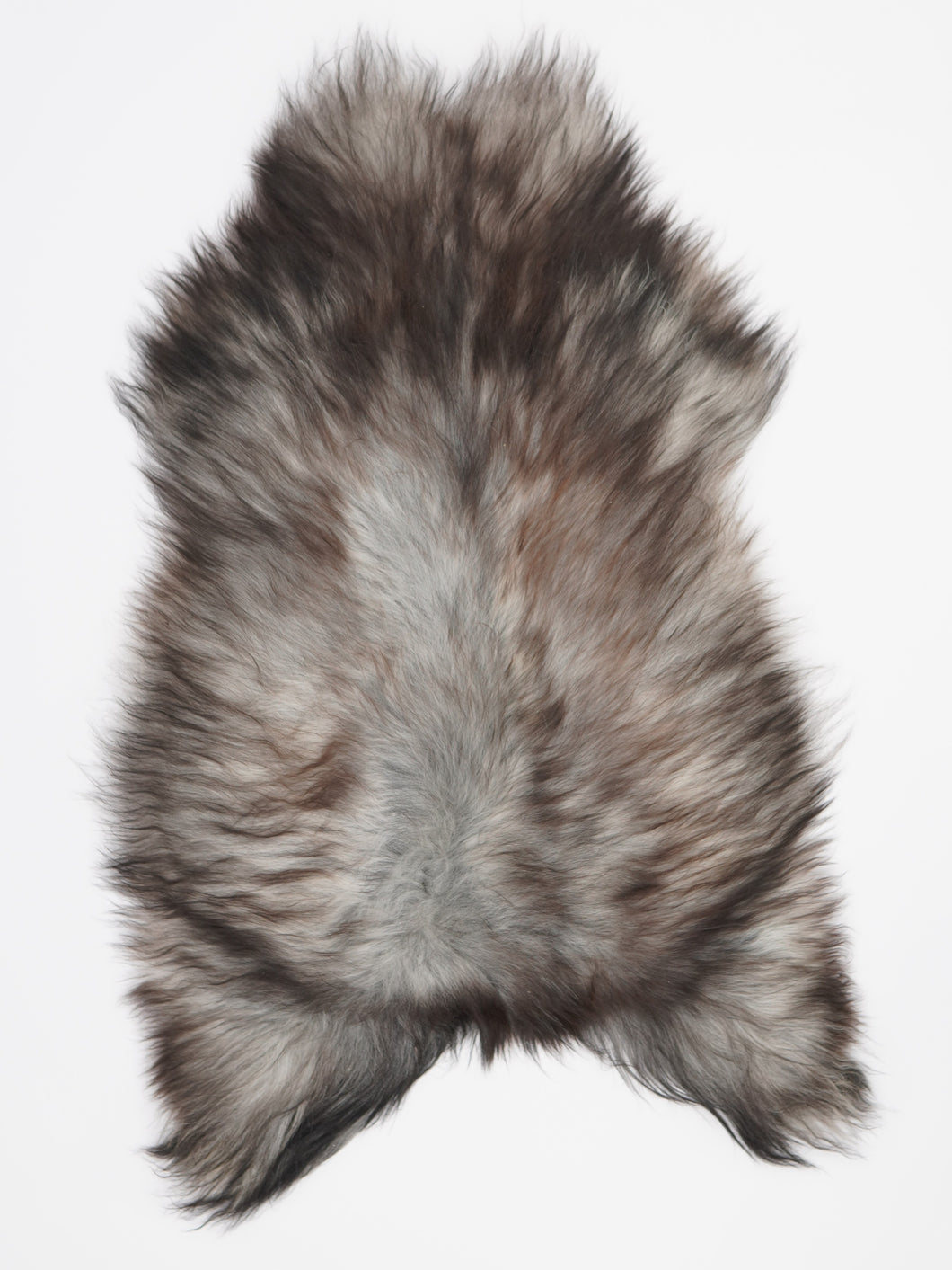 Pelēkā islandiešu aitāda L